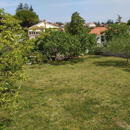 Apartman Avsec Кърк Екстериор снимка